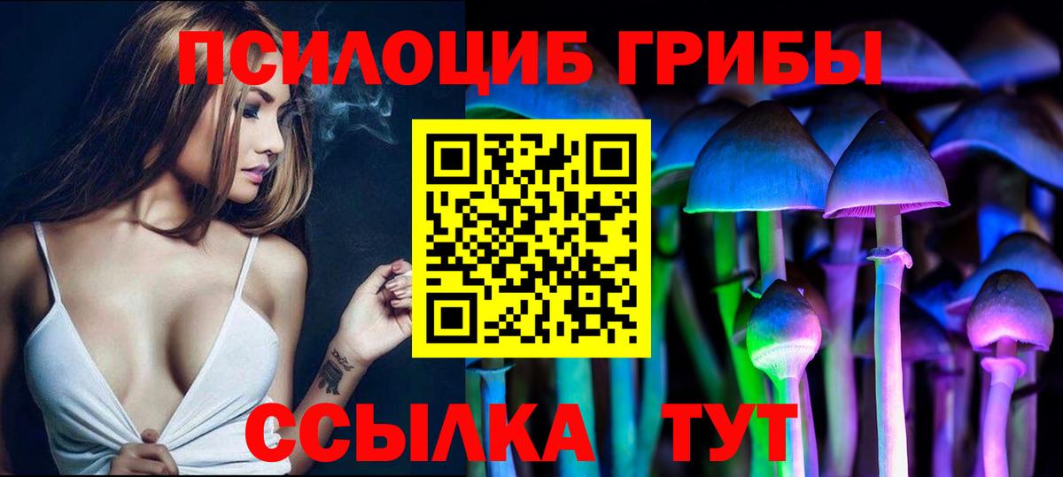 Псилоцибиновые грибы прущие грибы  Псилоцибиновые грибы Psilocybe  Дагестанские Огни  Вход с VPN 